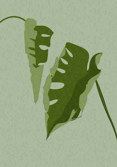麻豆app实战技巧彩蛋季节45个关键点沉浸观影  第2张